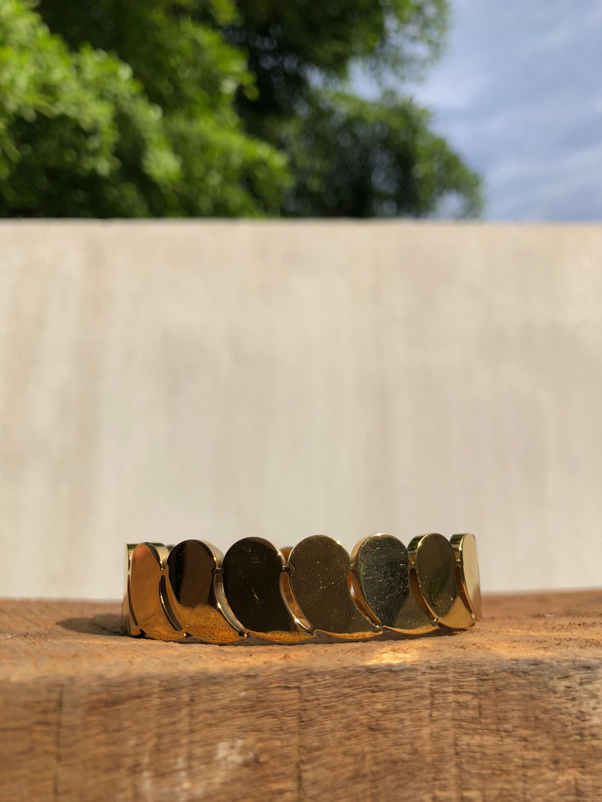 Zebzar FlexLink Bracelet
