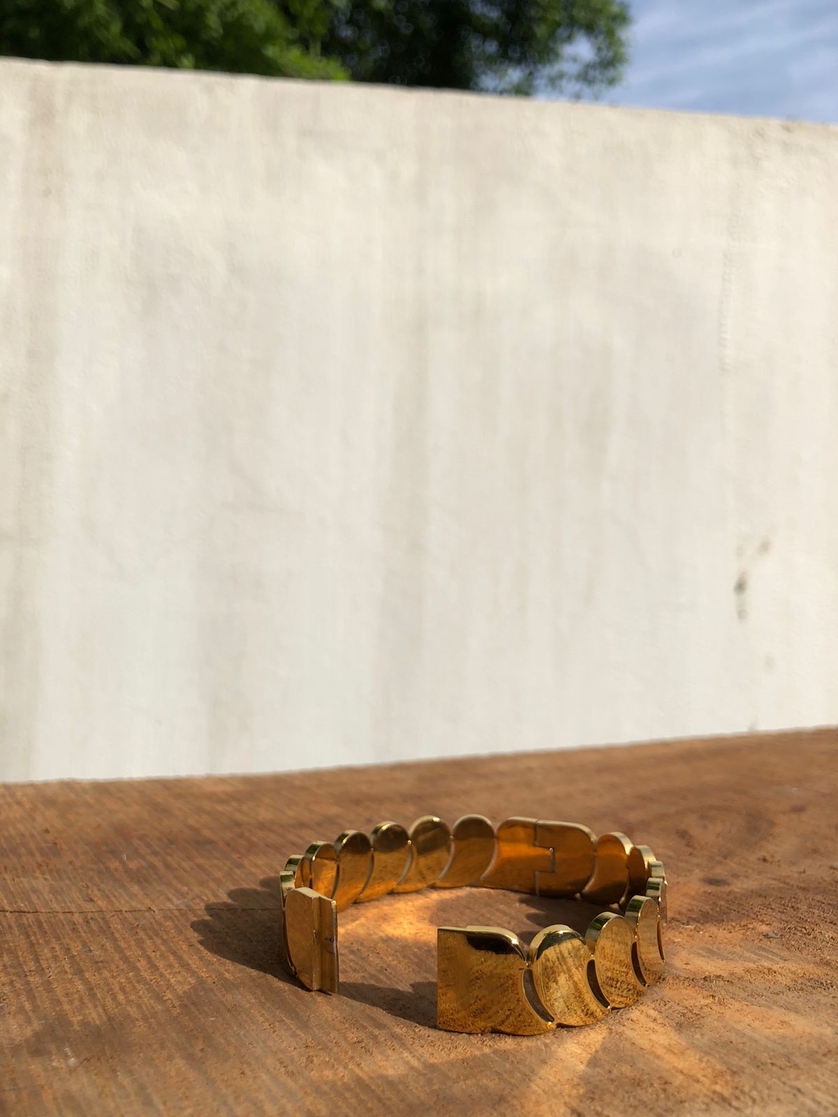 Zebzar FlexLink Bracelet