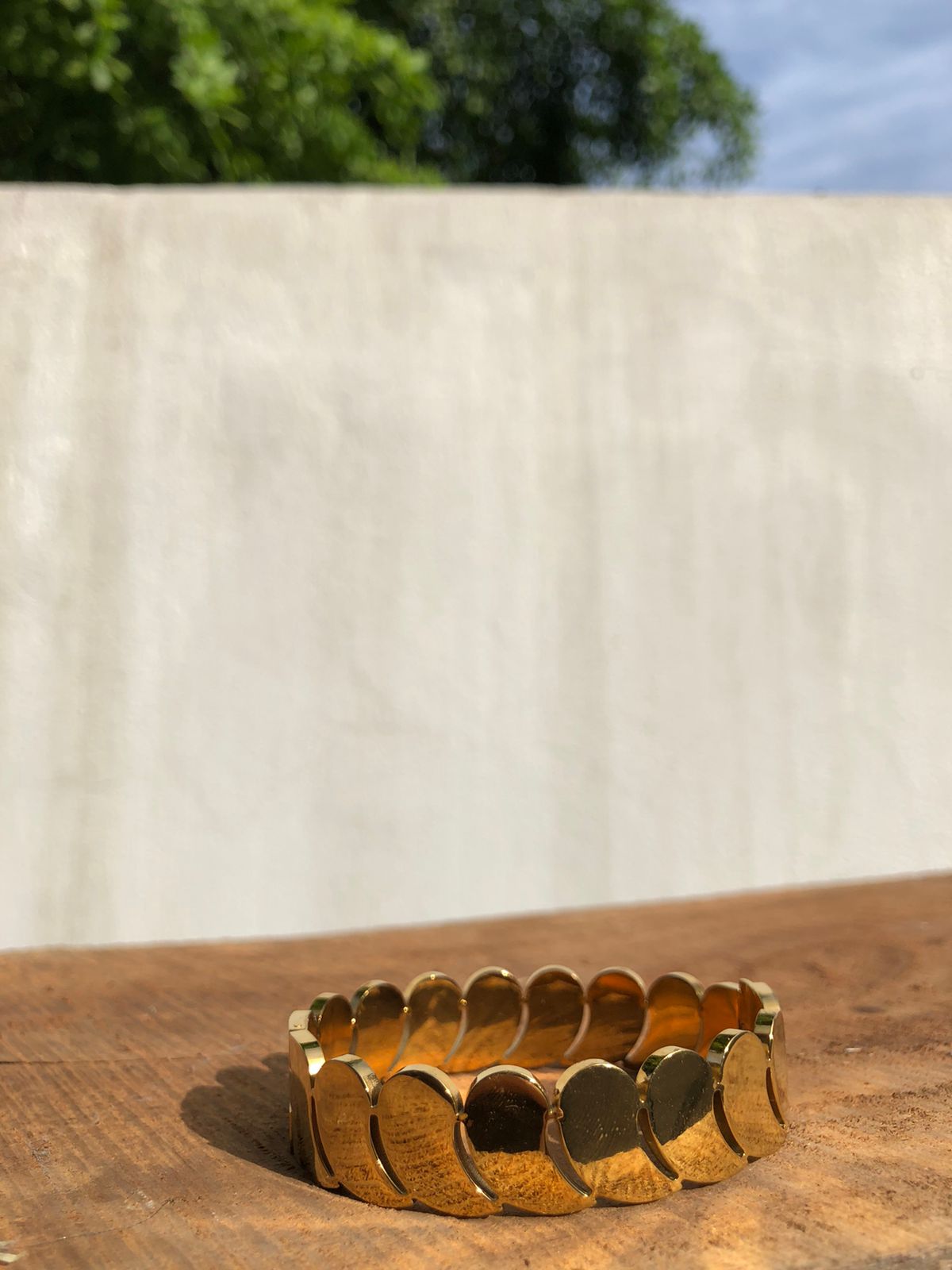 Zebzar FlexLink Bracelet